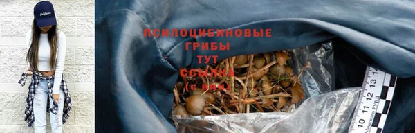 прущая мука Нея