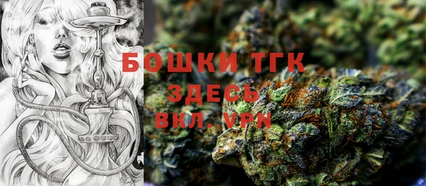 прущий лед Надым
