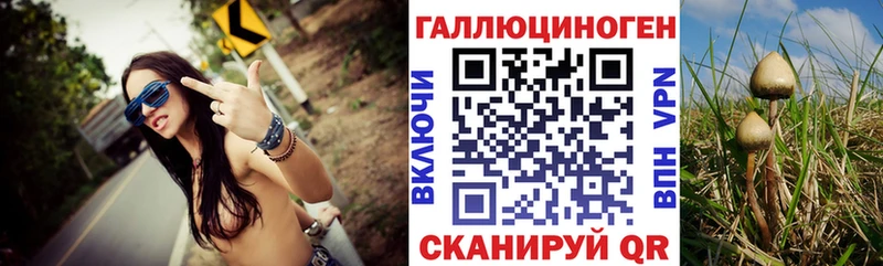 Галлюциногенные грибы ЛСД  магазин продажи   это клад  Инсар 